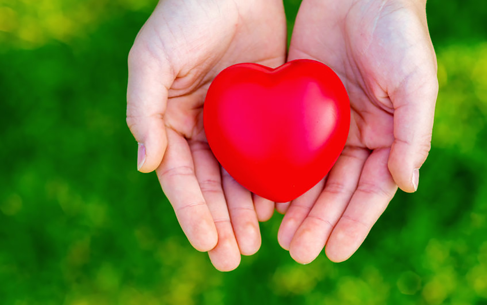 Hands holding a heart shape