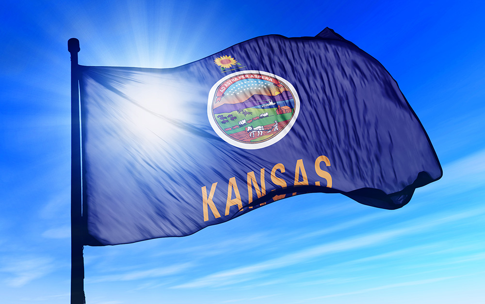 Kansas flag