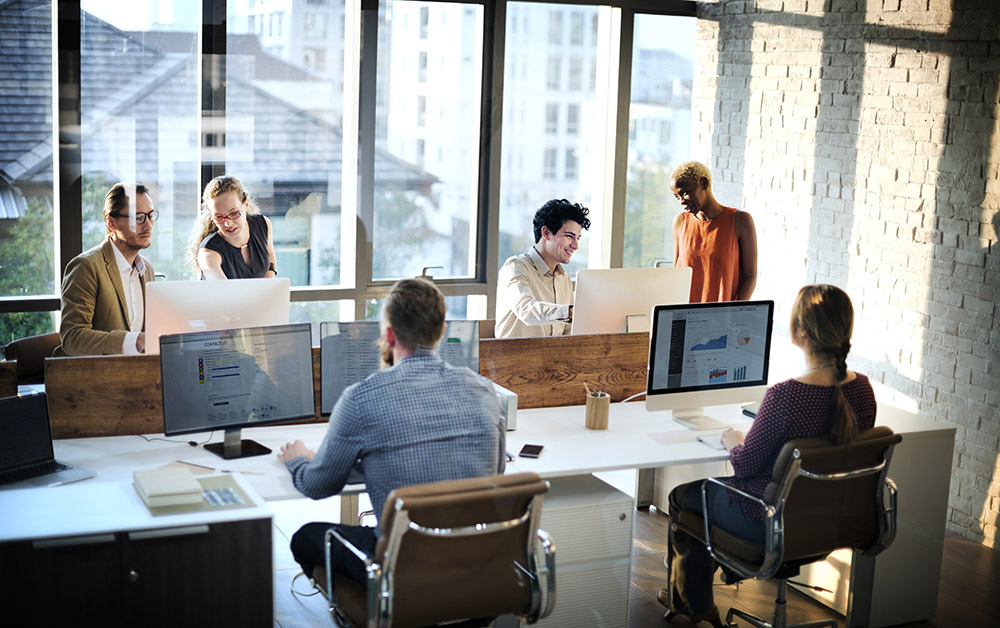 Group of employees work at their desks